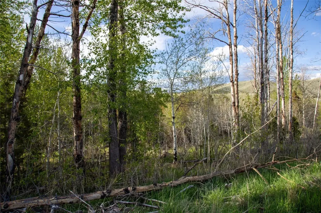 Lot 5 Wey's View Mcallister MT 59740