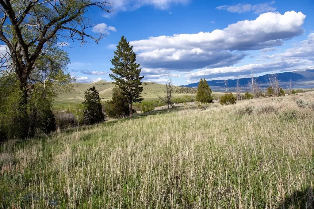 Lot 5 Wey's View Mcallister MT 59740
