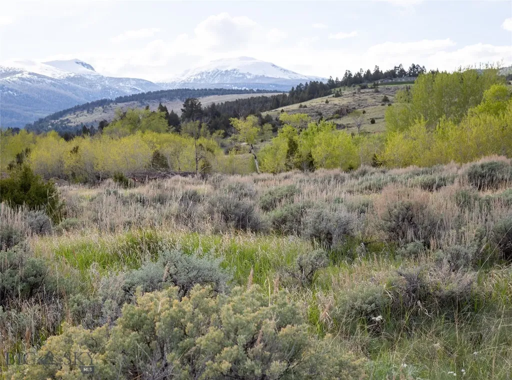 Lot 4 Wey's View Mcallister MT 59740