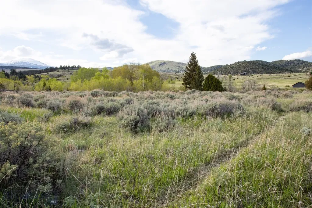 Lot 4 Wey's View Mcallister MT 59740