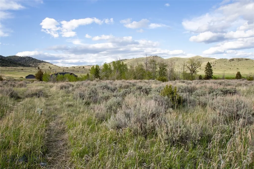 Lot 4 Wey's View Mcallister MT 59740
