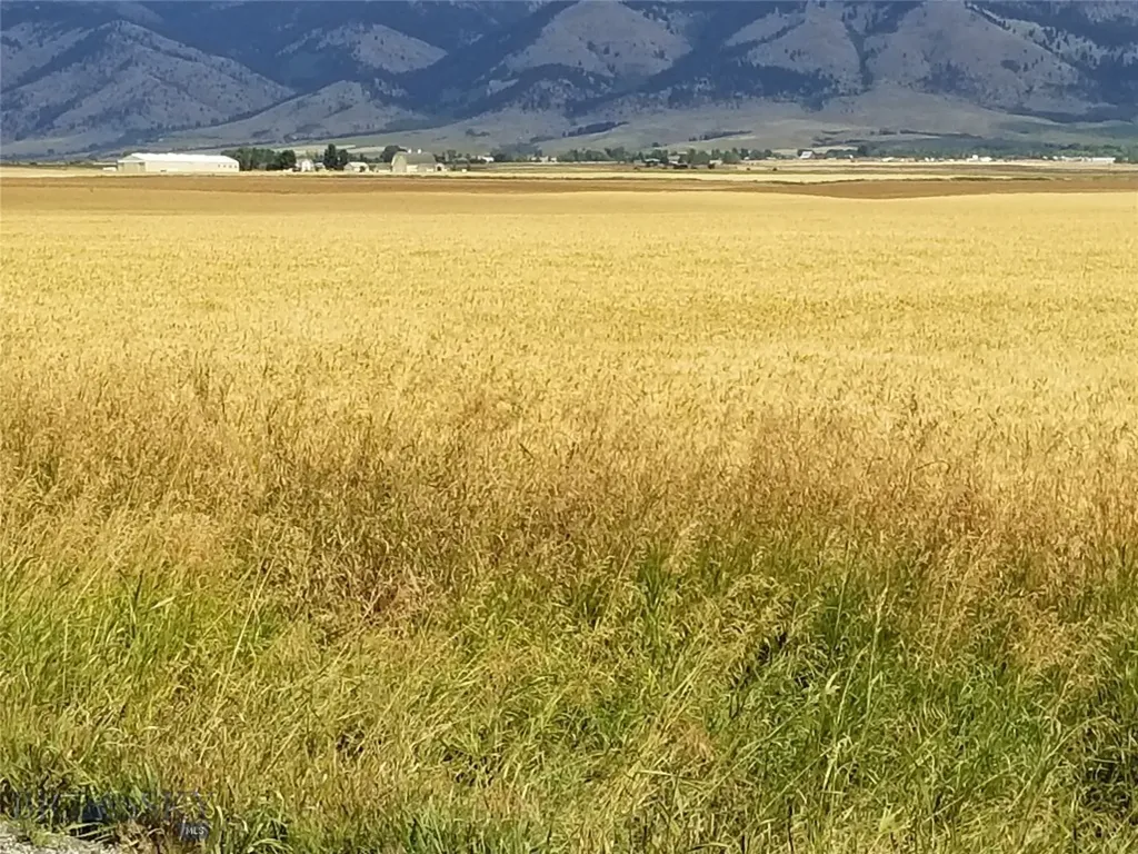 Tbd Wes Davis Road N Belgrade MT 59714