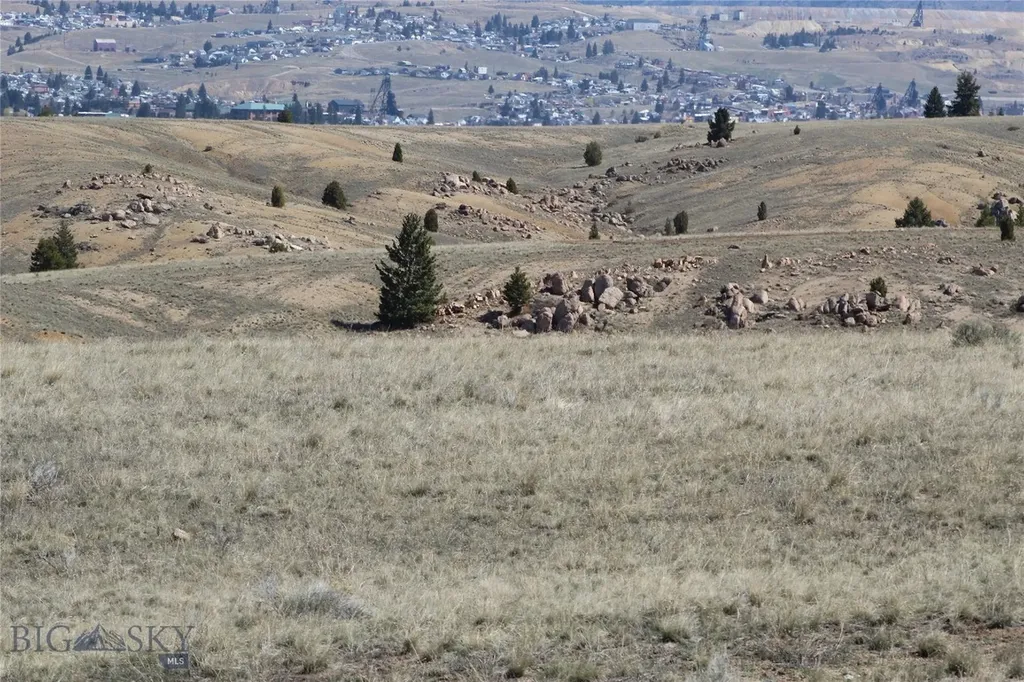 Tbd Tbd Butte MT 59701