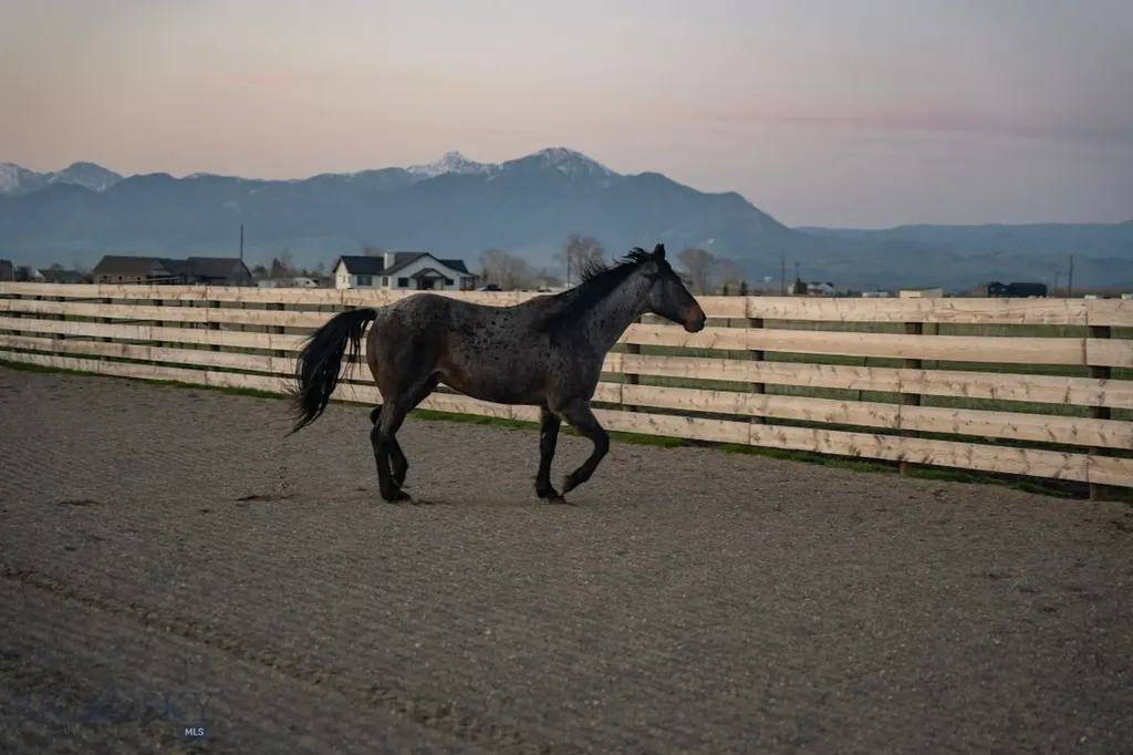 8265 Fowler Lane Bozeman MT 59718