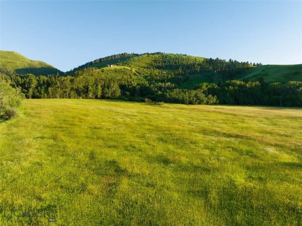 Parcel 8 Wilson Creek Road Gallatin Gateway MT 59730