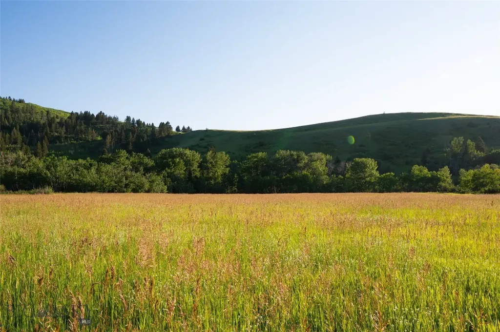 Parcel 8 Wilson Creek Road Gallatin Gateway MT 59730