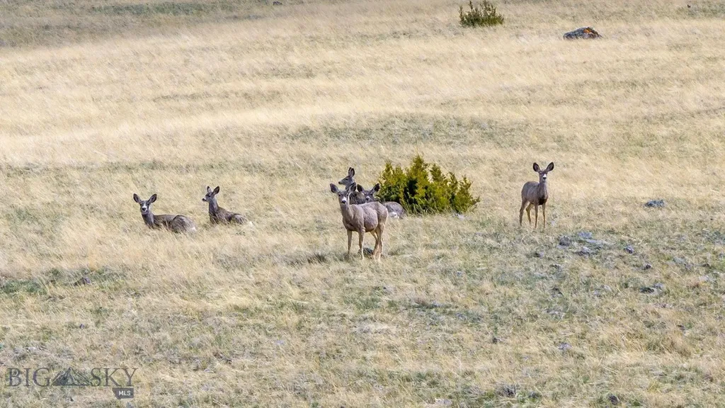 Lot 55a Mustang Ranch Ennis MT 59729