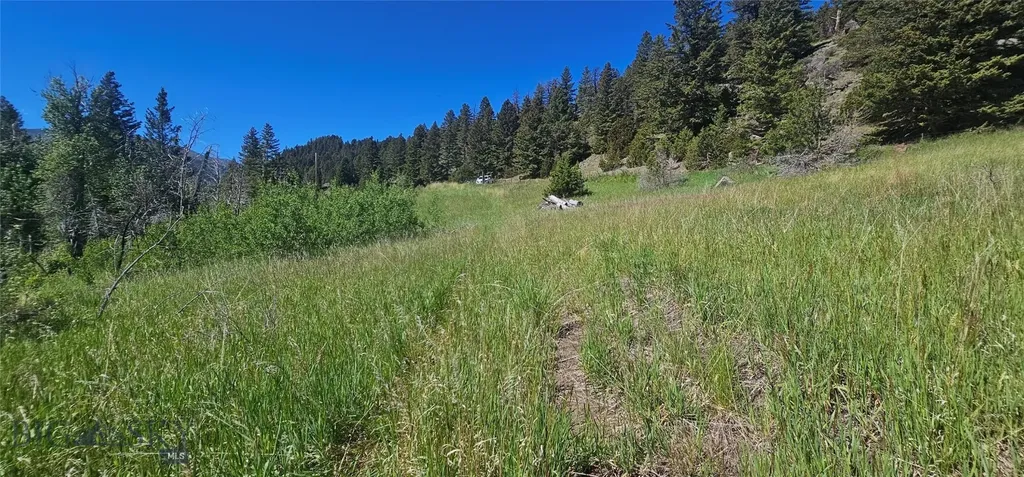 Lot 11 So. Boulder Road Cardwell MT 59721