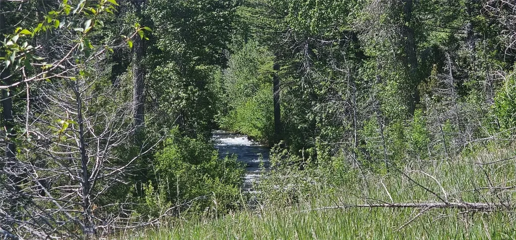 Lot 11 So. Boulder Road Cardwell MT 59721