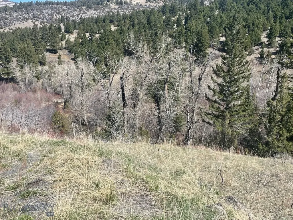 Lot 11 So. Boulder Road Cardwell MT 59721