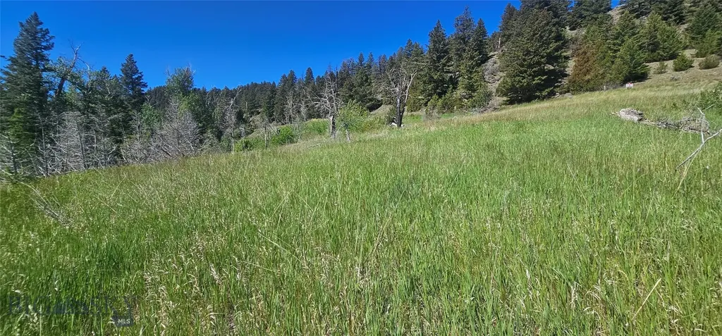 Lot 11 So. Boulder Road Cardwell MT 59721