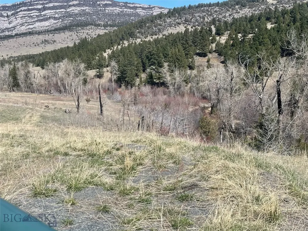 Lot 11 So. Boulder Road Cardwell MT 59721