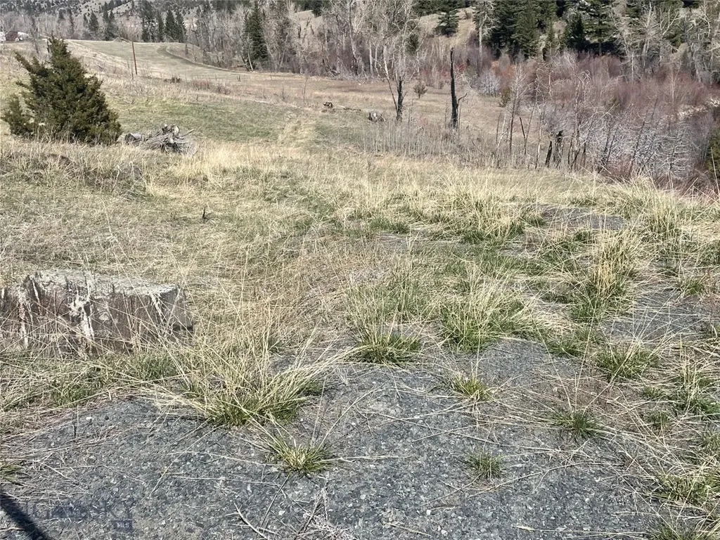 Lot 11 So. Boulder Road Cardwell MT 59721