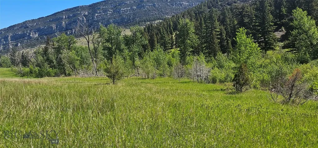 Lot 11 So. Boulder Road Cardwell MT 59721