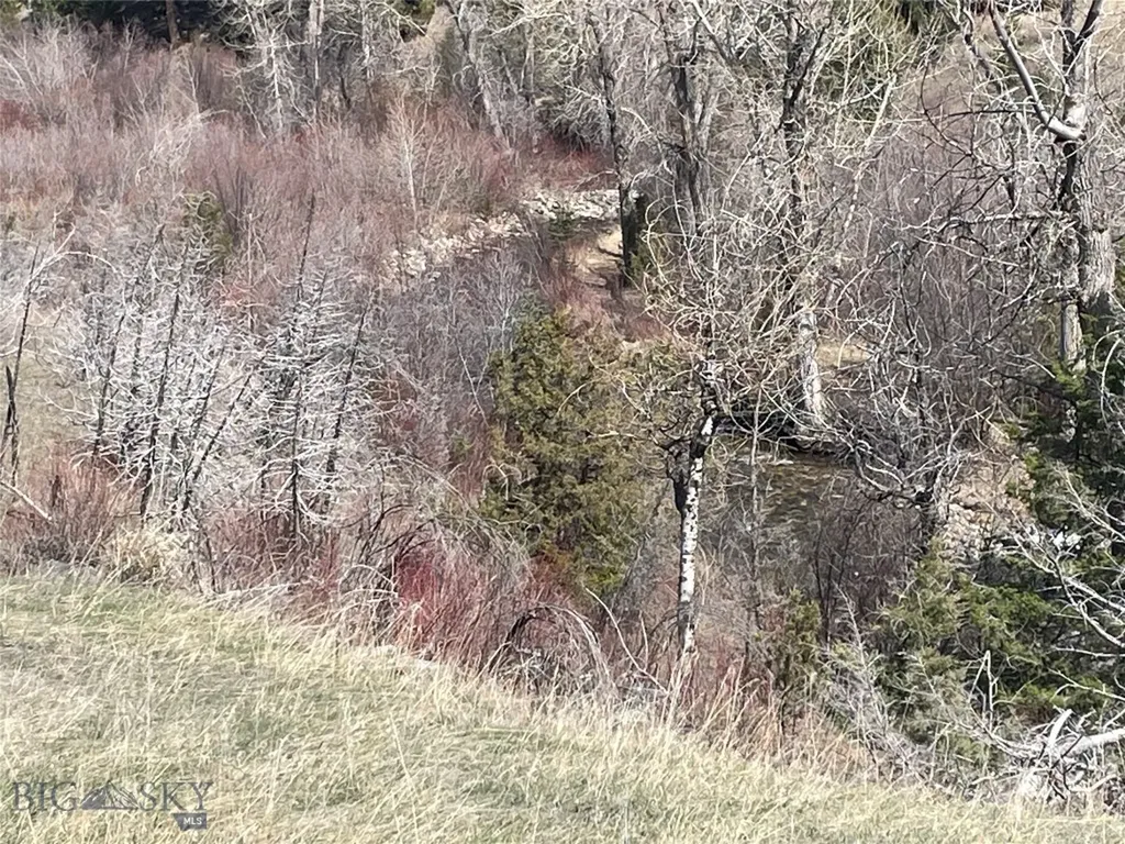 Lot 11 So. Boulder Road Cardwell MT 59721