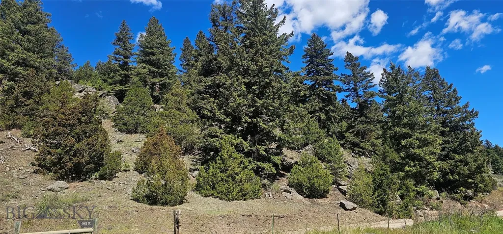 Lot 11 So. Boulder Road Cardwell MT 59721