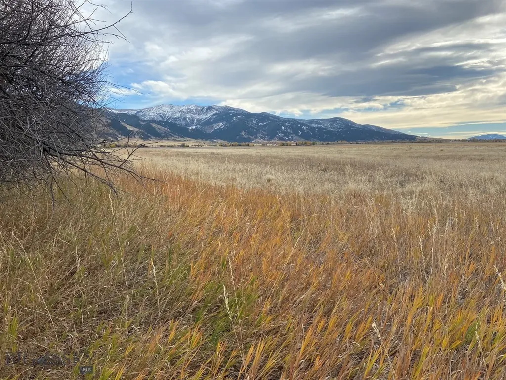 6114 Springhill Road Belgrade MT 59714