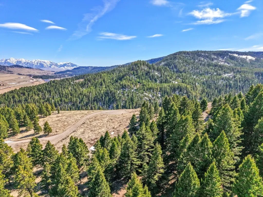 Lot 19 South Sun West Road Cameron MT 59720