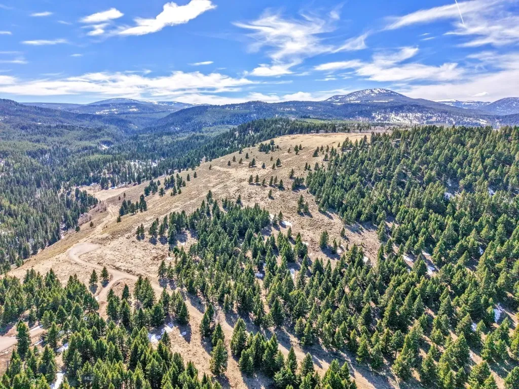 Lot 19 South Sun West Road Cameron MT 59720