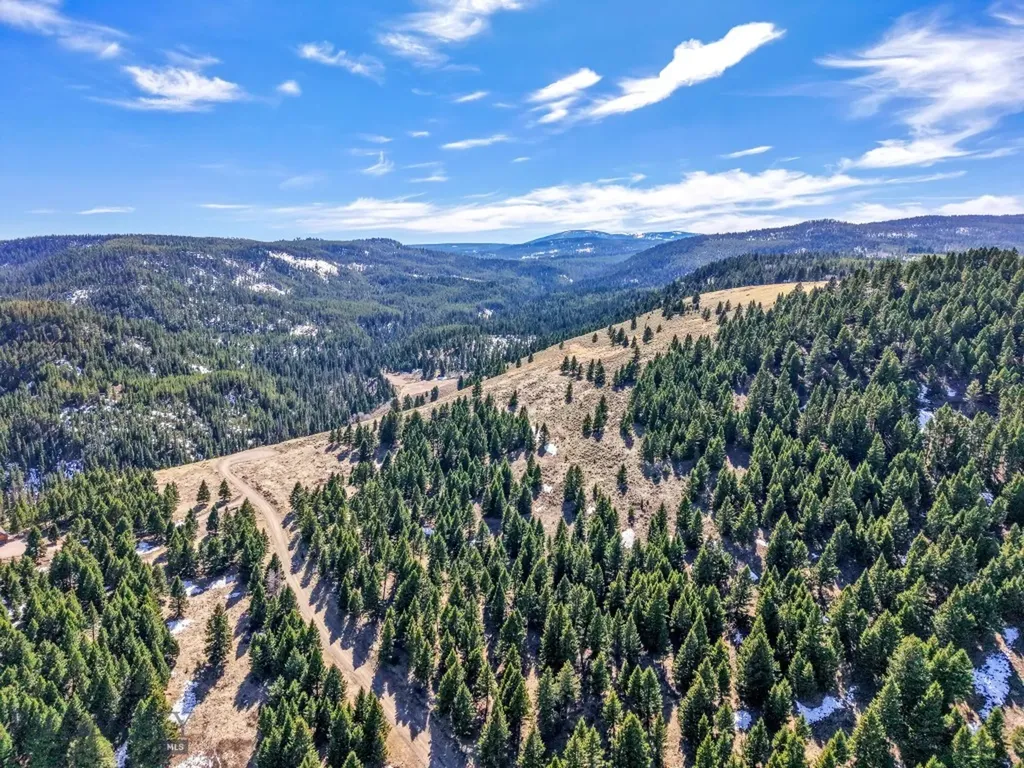 Lot 19 South Sun West Road Cameron MT 59720