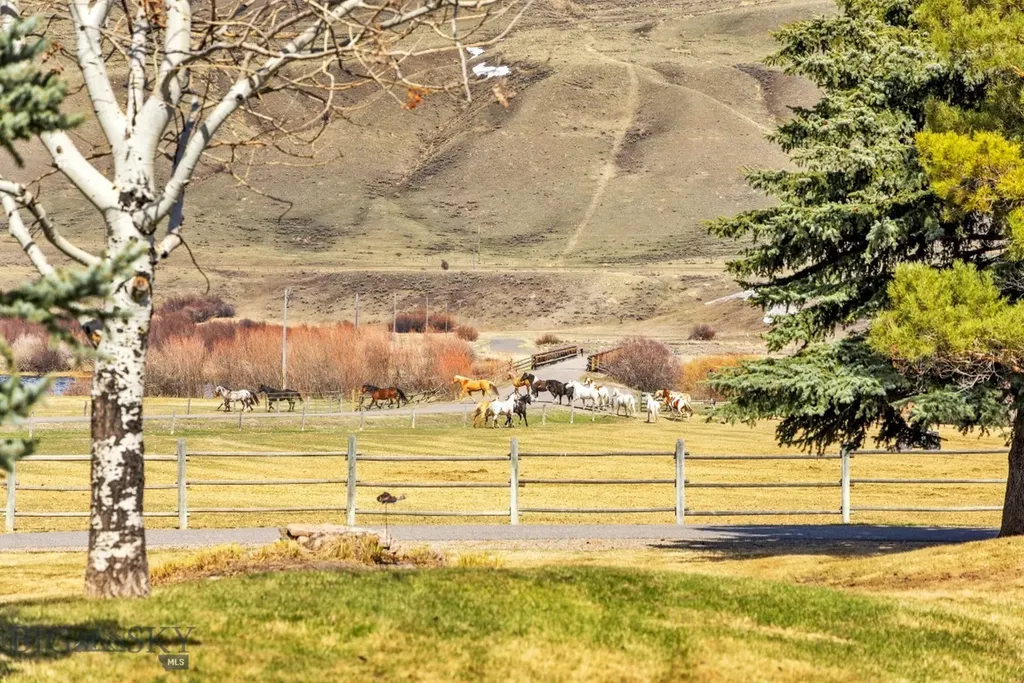 Lot 19 South Sun West Road Cameron MT 59720