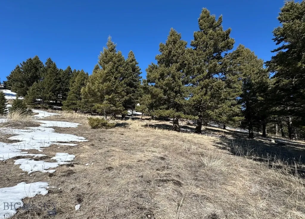 Lot 19 South Sun West Road Cameron MT 59720