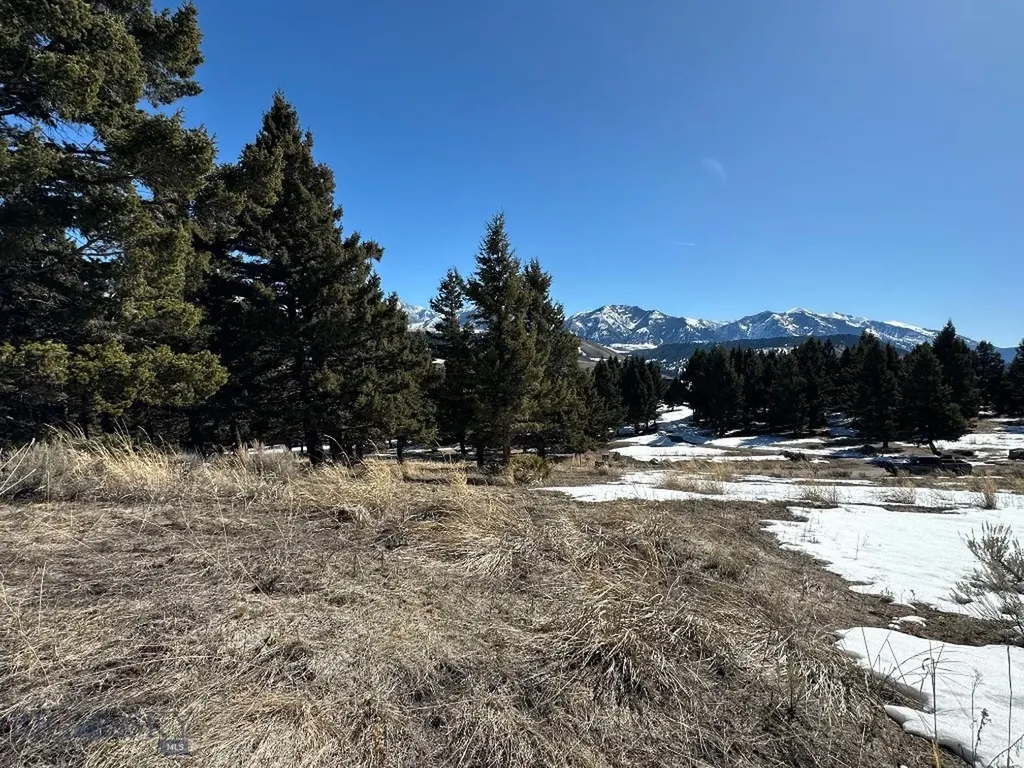 Lot 19 South Sun West Road Cameron MT 59720