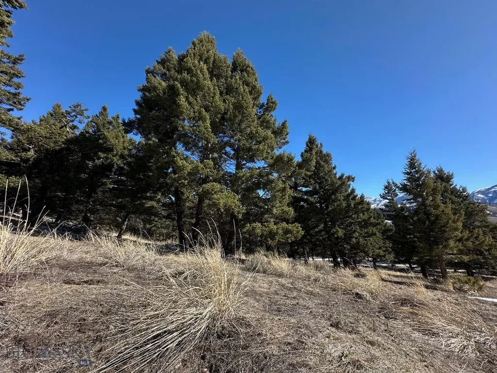 Lot 19 South Sun West Road Cameron MT 59720