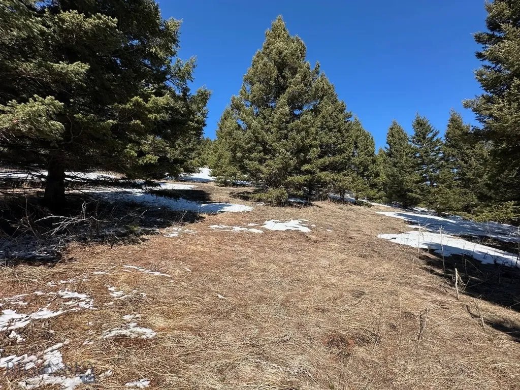 Lot 19 South Sun West Road Cameron MT 59720