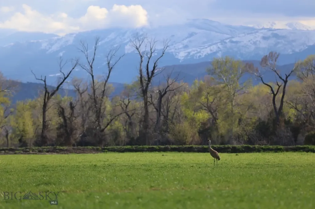 5211 Old Yellowstone Trail Three Forks MT 59752