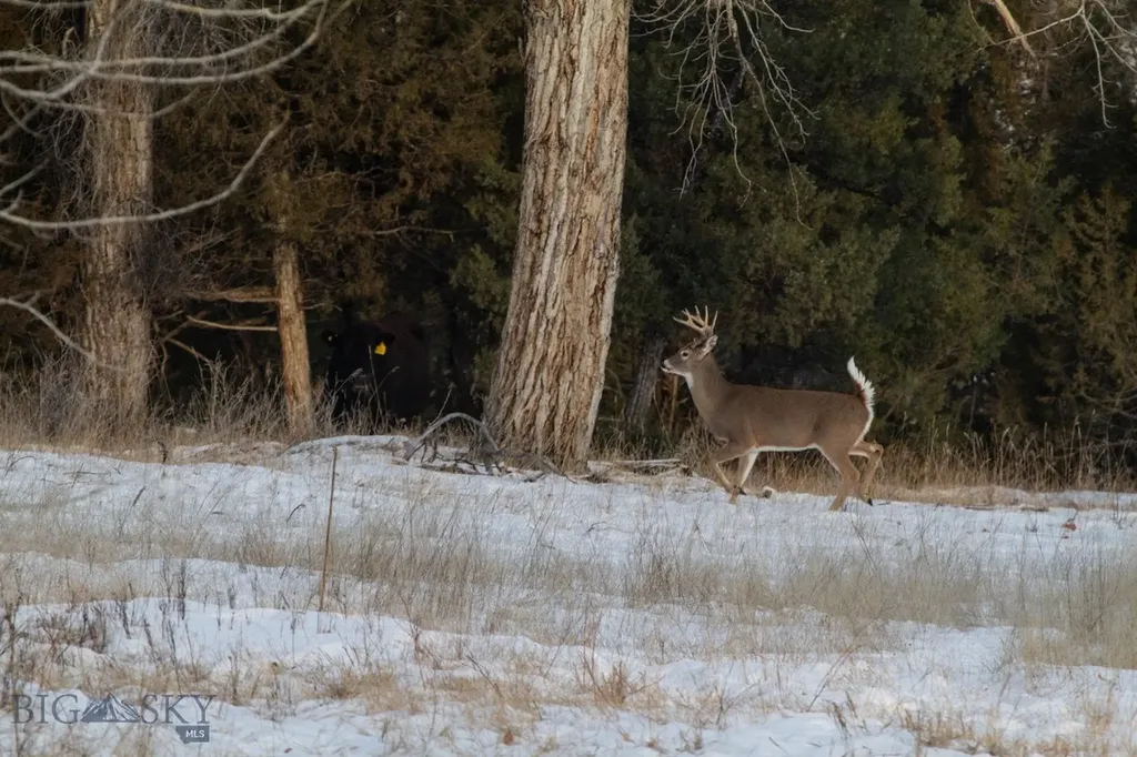 5211 Old Yellowstone Trail Three Forks MT 59752