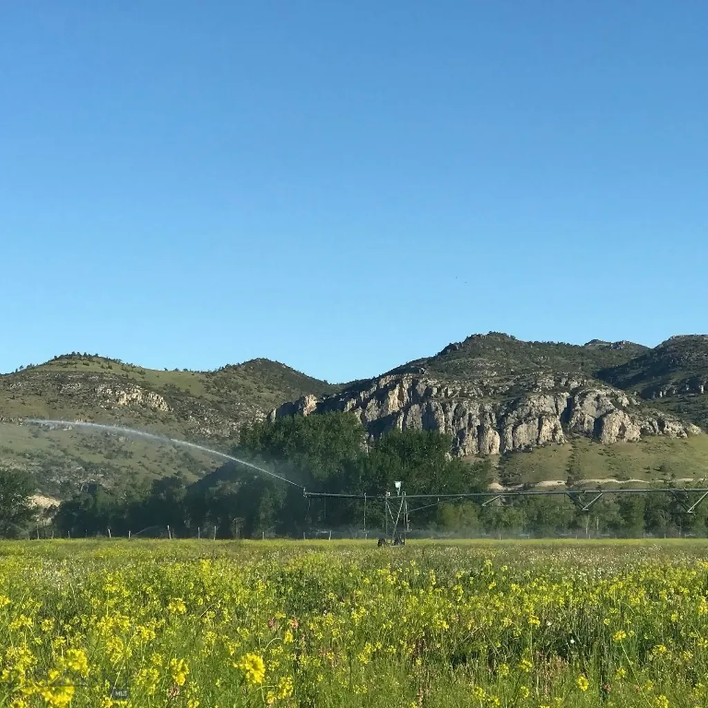 5211 Old Yellowstone Trail Three Forks MT 59752