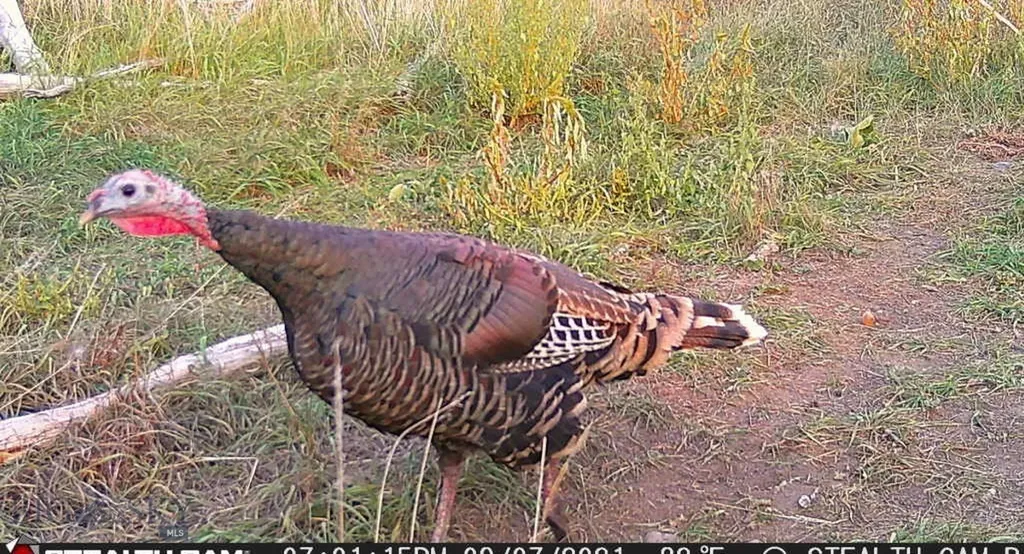 5211 Old Yellowstone Trail Three Forks MT 59752