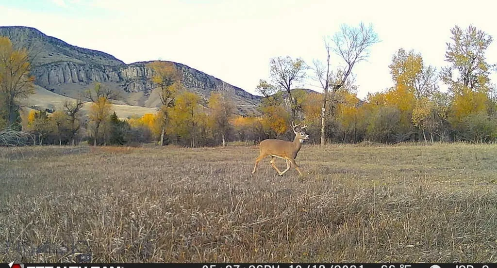 5211 Old Yellowstone Trail Three Forks MT 59752