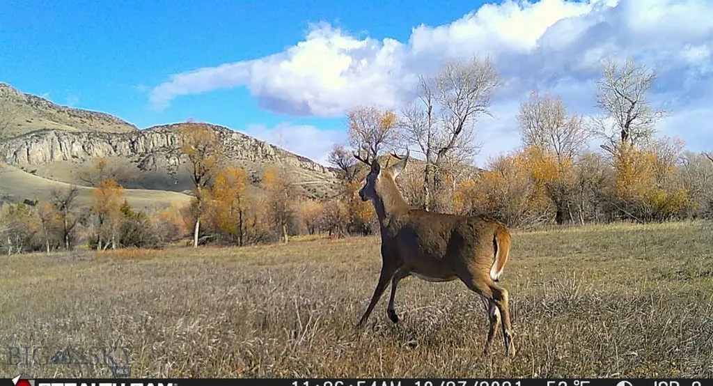 5211 Old Yellowstone Trail Three Forks MT 59752