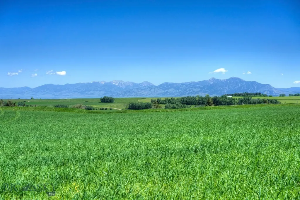 13830 (Tract A-d) Cottonwood Road Bozeman MT 59718