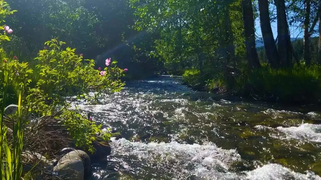 13830 (Lot A) Cottonwood Road Bozeman MT 59718
