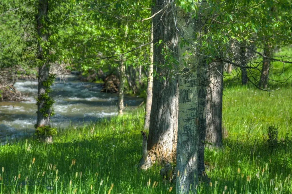 13830 (Lot A) Cottonwood Road Bozeman MT 59718
