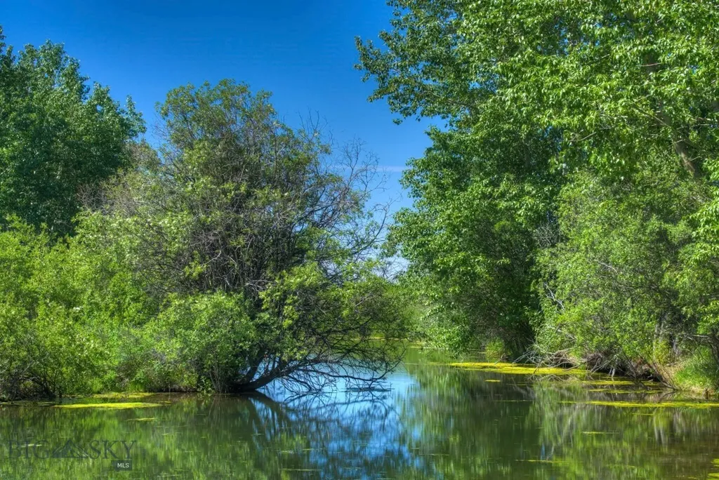 13830 (Lot A) Cottonwood Road Bozeman MT 59718