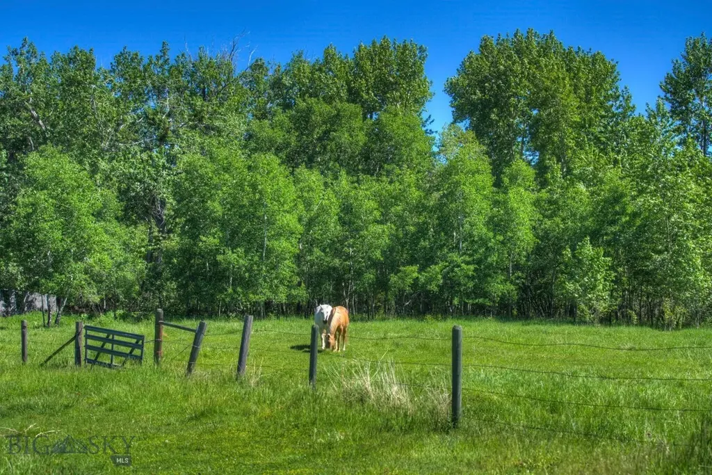 13830 (Lot A) Cottonwood Road Bozeman MT 59718