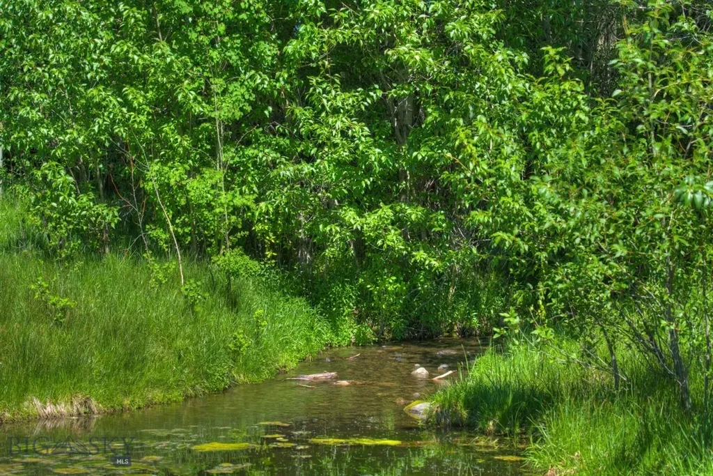 13830 (Lot A) Cottonwood Road Bozeman MT 59718