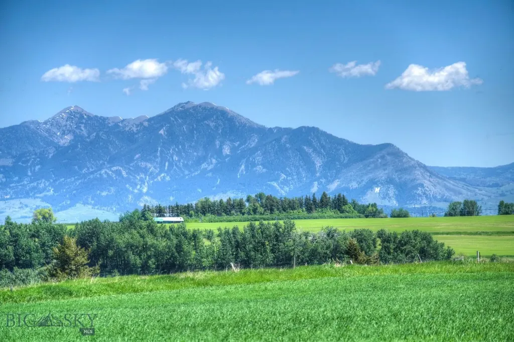 13830 (Lot A) Cottonwood Road Bozeman MT 59718