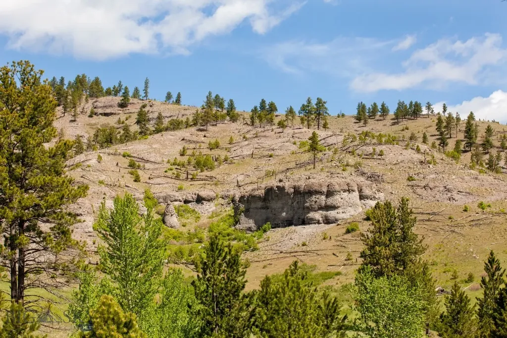 101 W Bridger Creek Road Big Timber MT 59011