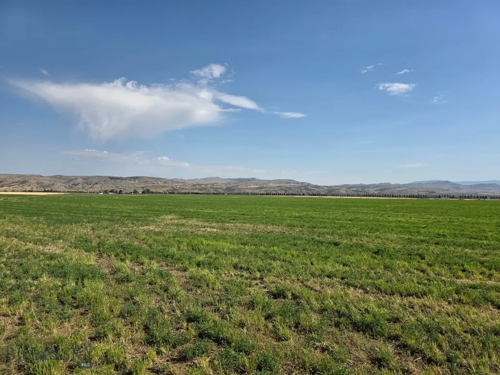 Parcel B1 Manhattan Frontage E Road Manhattan MT 59741