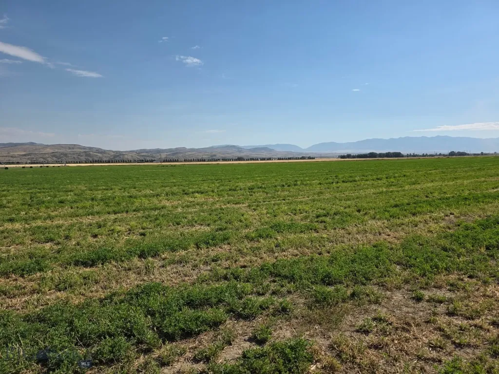 Parcel B1 Manhattan Frontage E Road Manhattan MT 59741