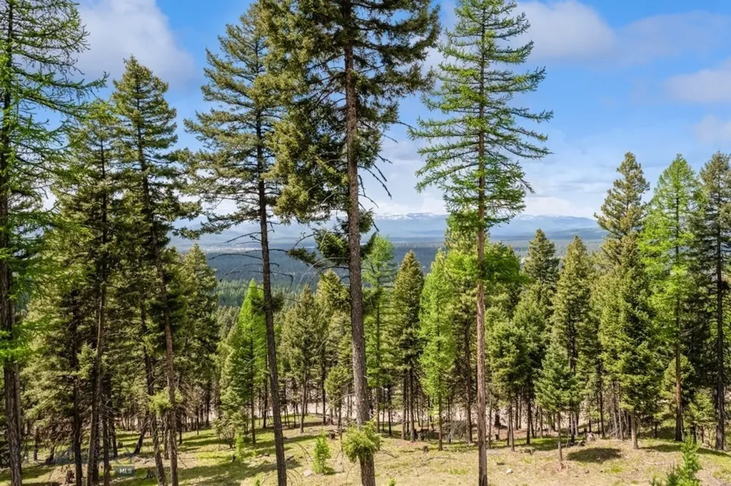968 Bitterroot Drive Seeley Lake MT 59868