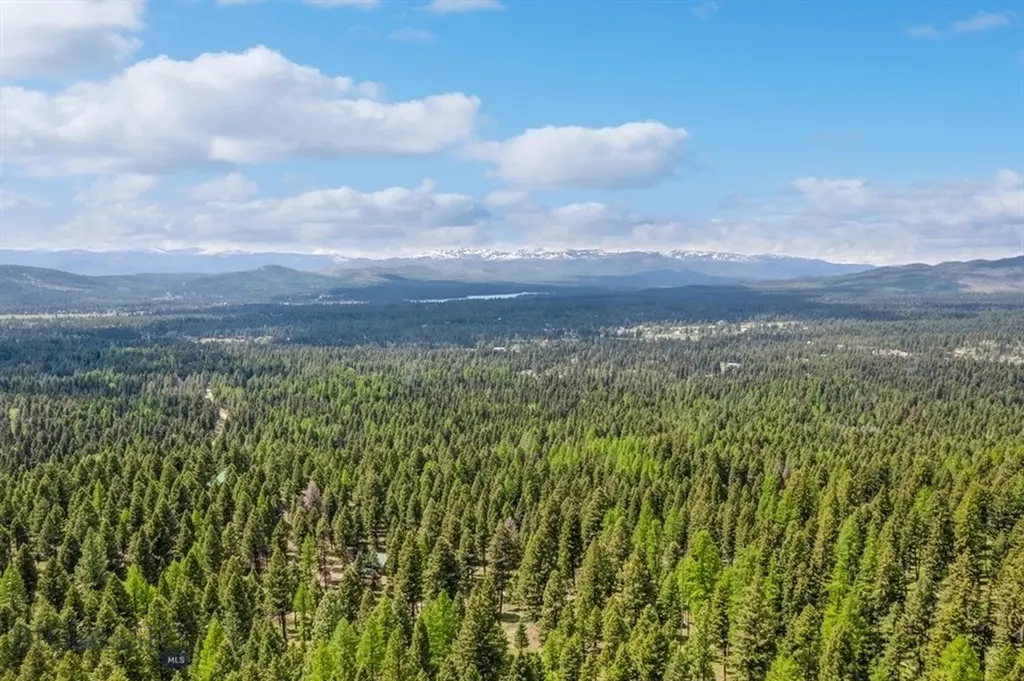 968 Bitterroot Drive Seeley Lake MT 59868