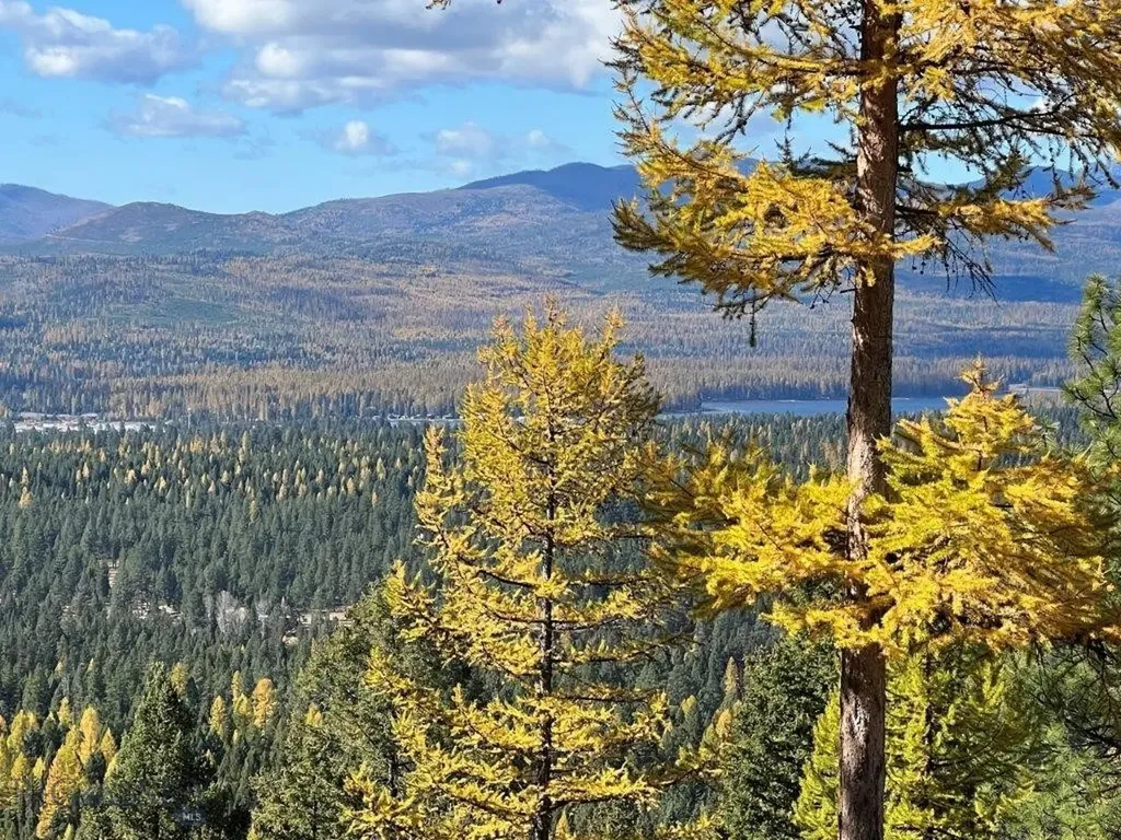 968 Bitterroot Drive Seeley Lake MT 59868