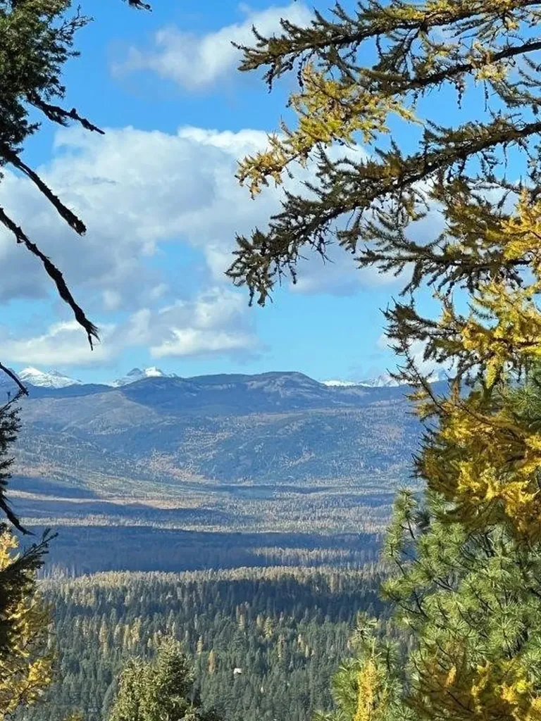 968 Bitterroot Drive Seeley Lake MT 59868