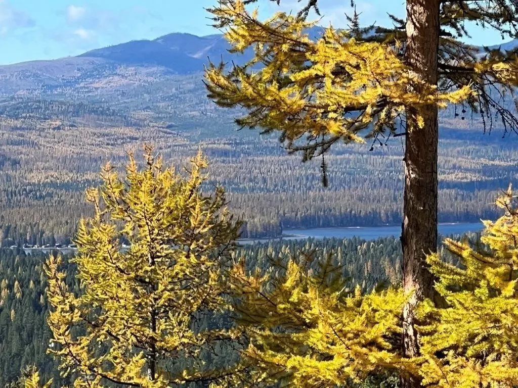 968 Bitterroot Drive Seeley Lake MT 59868